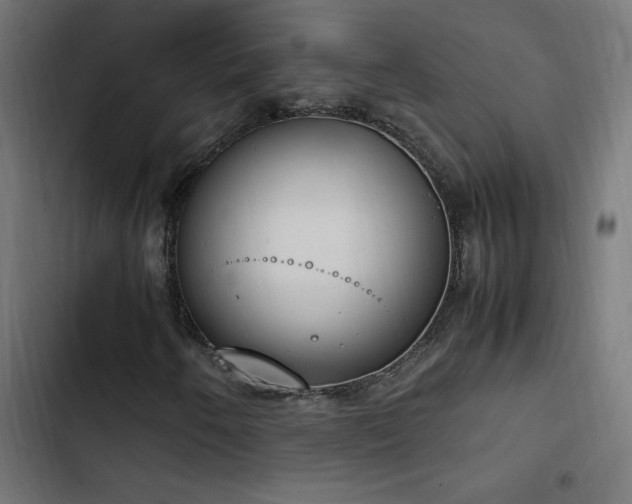 X0000103451250200809121419