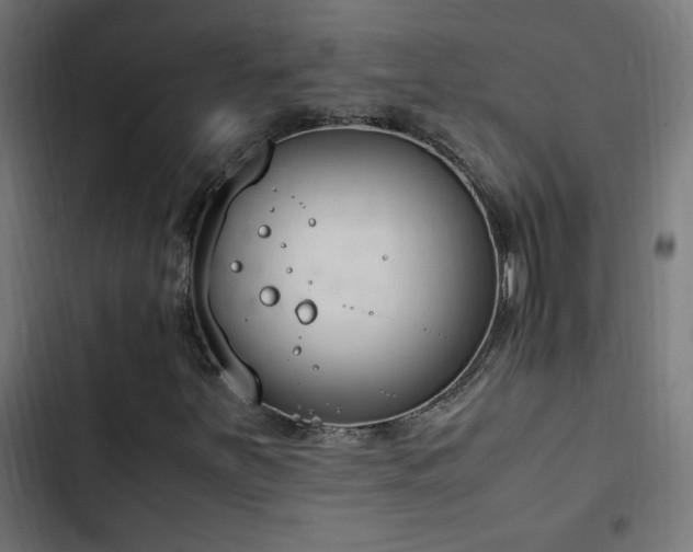 X0000103451251200809121419