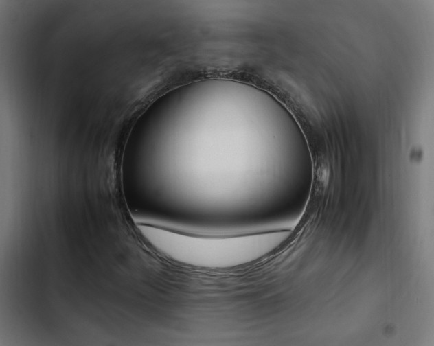 X0000103451252200809121419