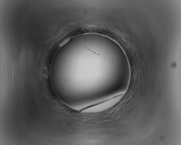 X0000103451253200809121419