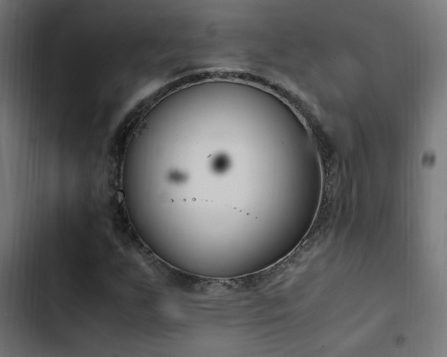X0000103451255200809121419