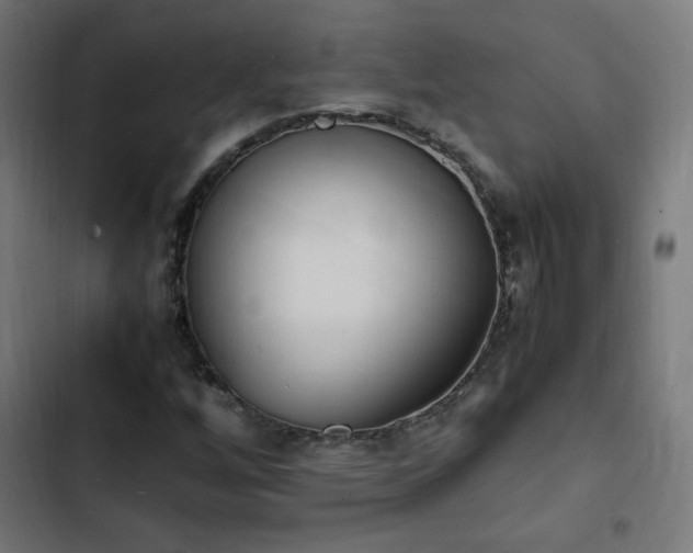 X0000103451256200809121419