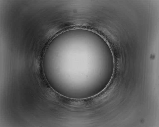 X0000103451257200809121419
