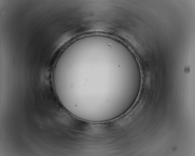 X0000103451258200809121419