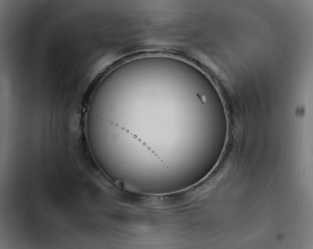 X0000103451259200809121419