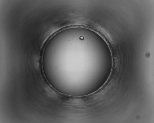 X0000103451260200809121419
