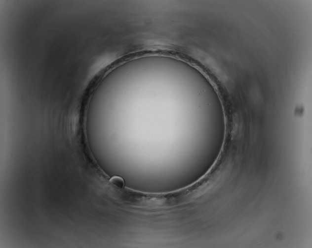 X0000103451261200809121419