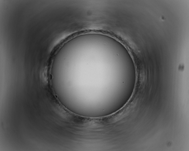 X0000103451262200809121419