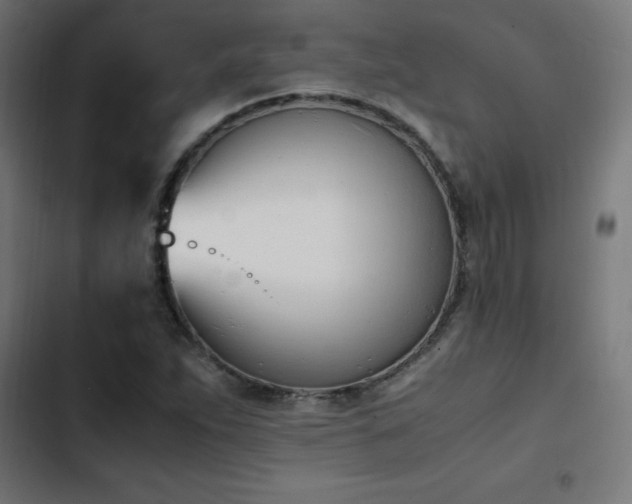 X0000103451263200809121419