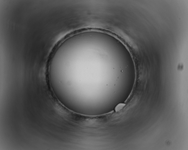 X0000103451264200809121419