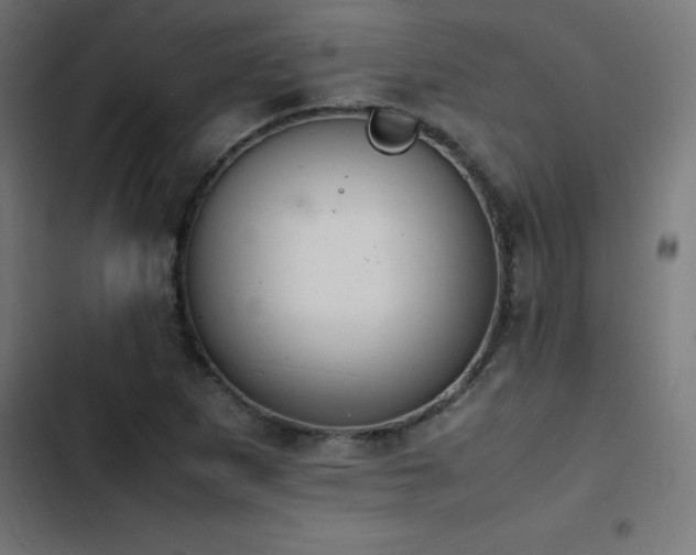 X0000103451265200809121419