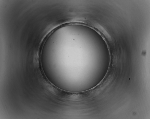 X0000103451268200809121419