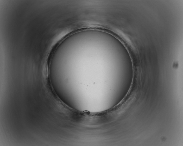 X0000103451269200809121419