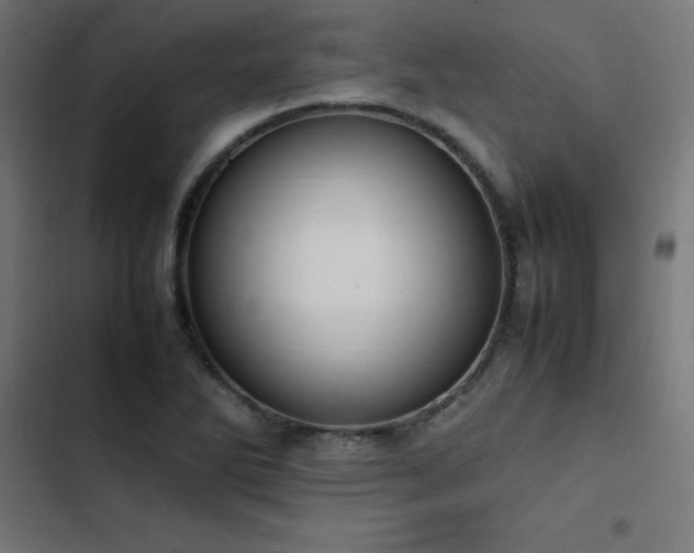 X0000103451270200809121419