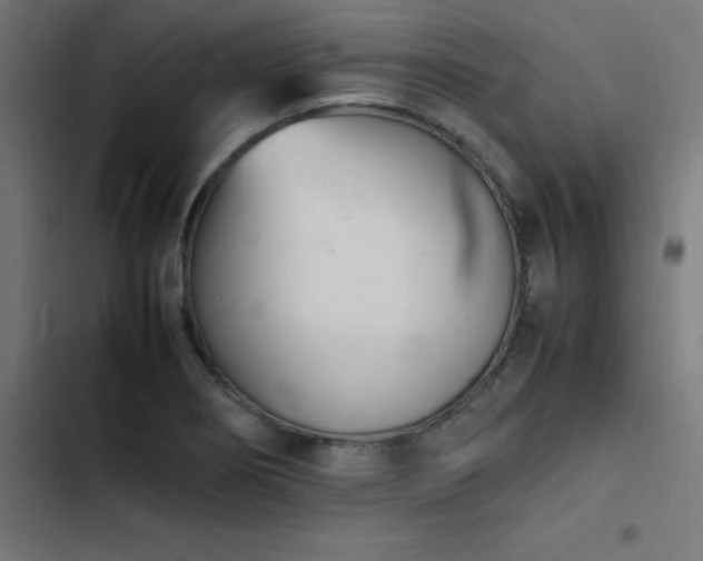X0000103451274200809121419