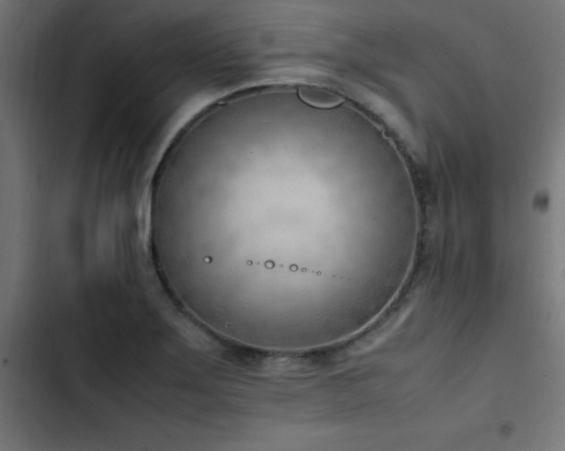 X0000103451275200809121419
