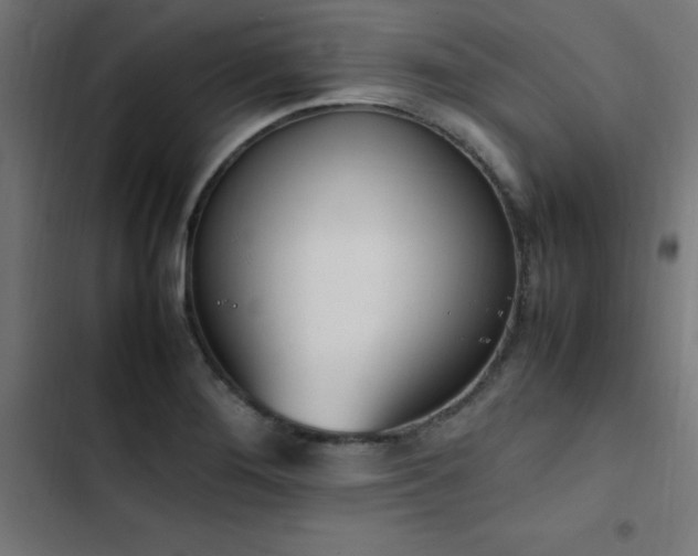 X0000103451276200809121419