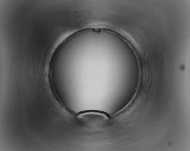 X0000103451277200809121419