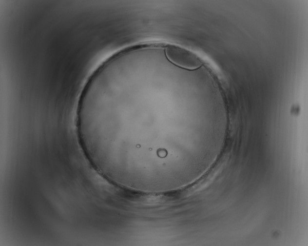 X0000103451279200809121418