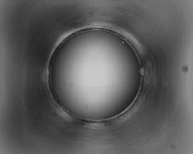 X0000103451280200809121418