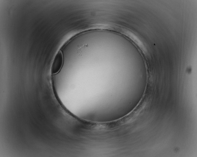X0000103451283200809121418