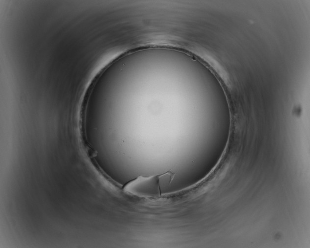 X0000103451285200809121418