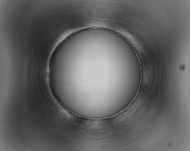 X0000103451286200809121418