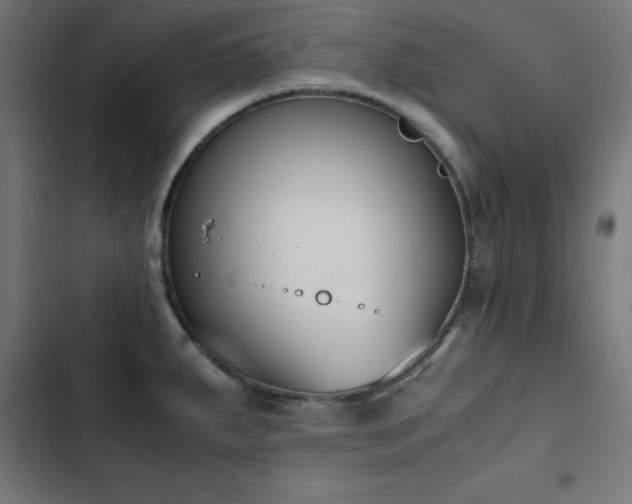 X0000103451287200809121418