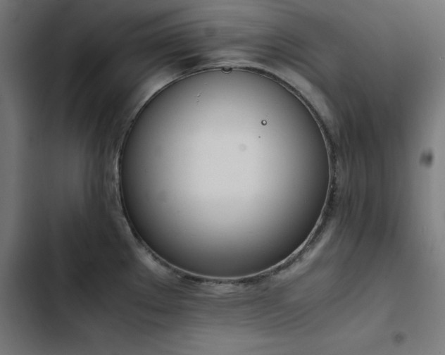 X0000103451289200809121418