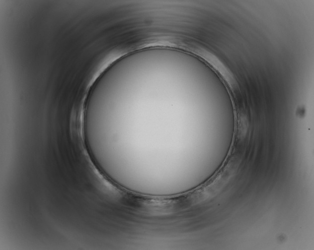 X0000103451290200809121418