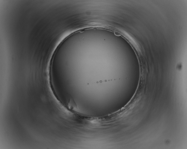 X0000103451291200809121418