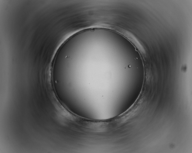 X0000103451292200809121418