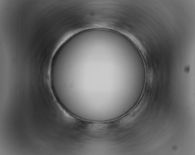 X0000103451294200809121418