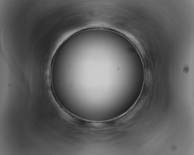 X0000103451295200809121418