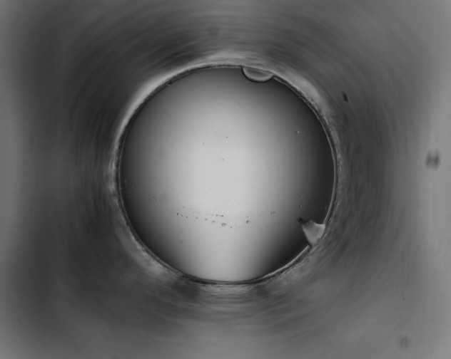 X0000103451296200809121418