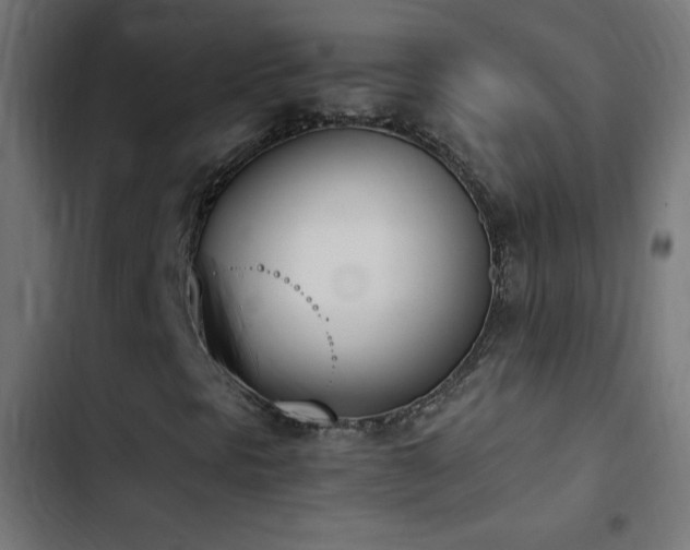 X0000103451297200809121417