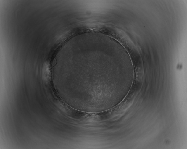 X0000103451298200809121417