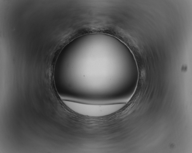 X0000103451300200809121417