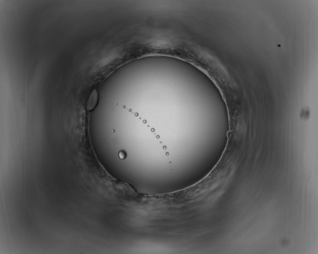 X0000103451301200809121417