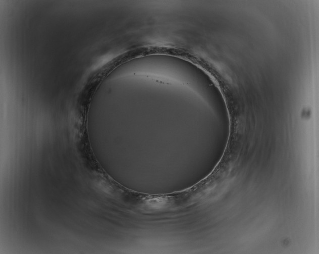 X0000103451303200809121418