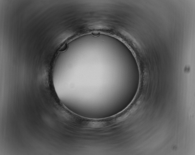 X0000103451305200809121418