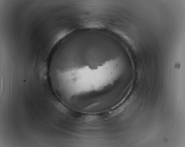 X0000103451306200809121418