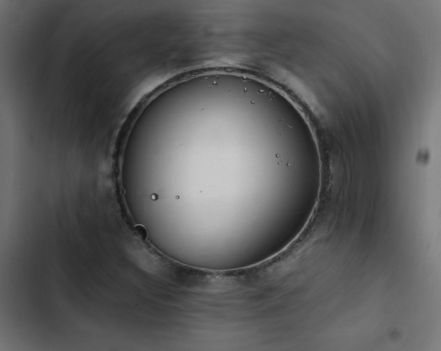 X0000103451308200809121418