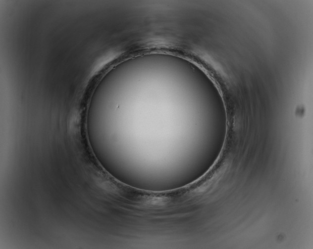 X0000103451309200809121418