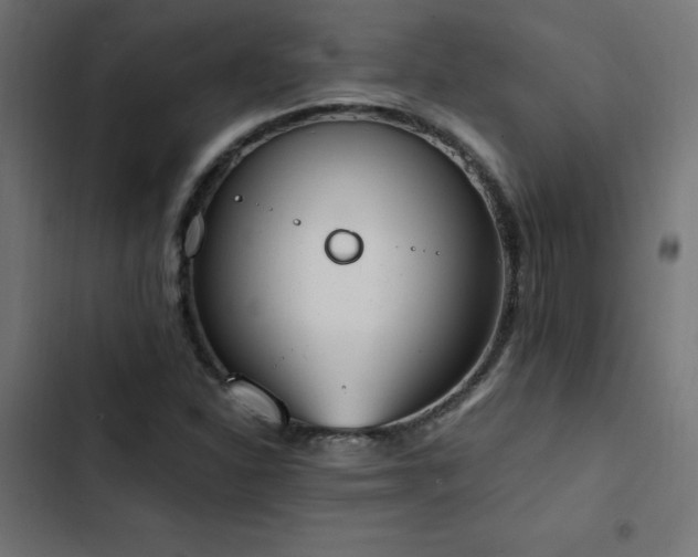 X0000103451310200809121418
