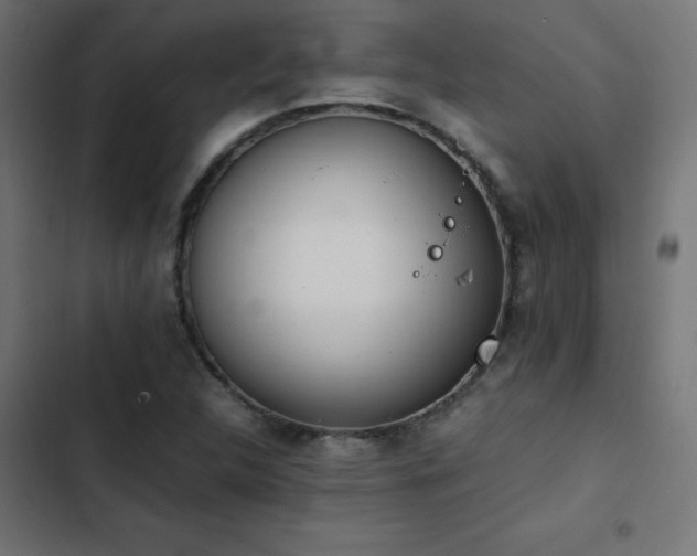 X0000103451312200809121418
