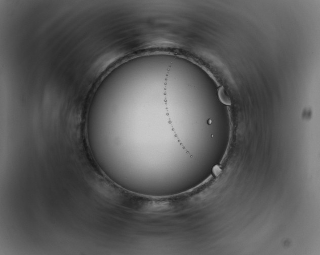 X0000103451313200809121418