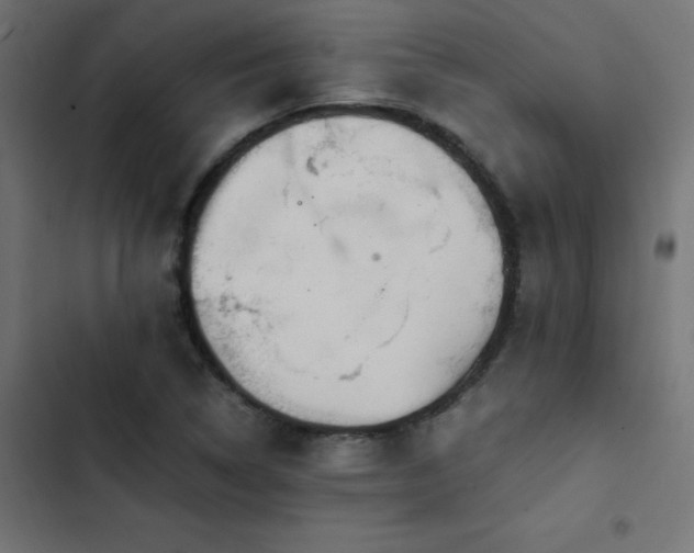 X0000103451314200809121418
