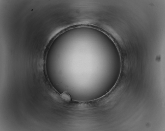 X0000103451316200809121418