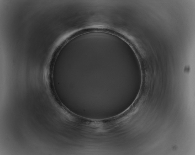 X0000103451319200809121418